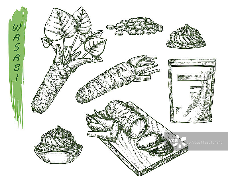 芥末或日式生鱼片素描图片素材