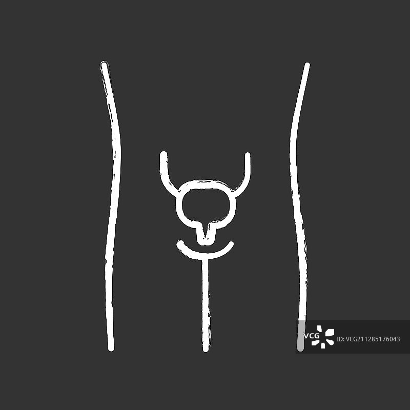 健康的膀胱粉笔图标图片素材