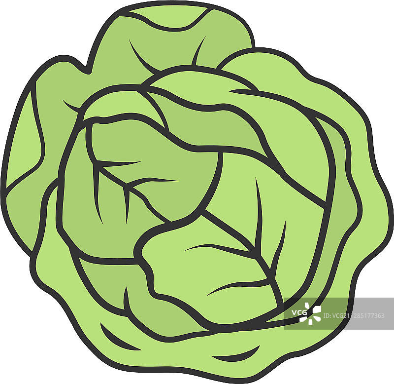 卷心菜彩色图标图片素材