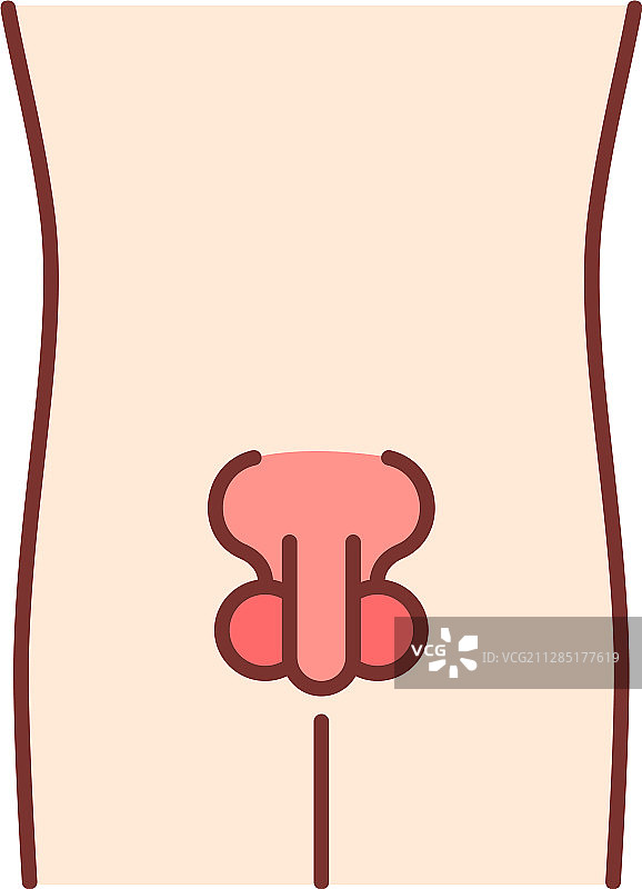 健康的男性生殖系统彩色图标图片素材