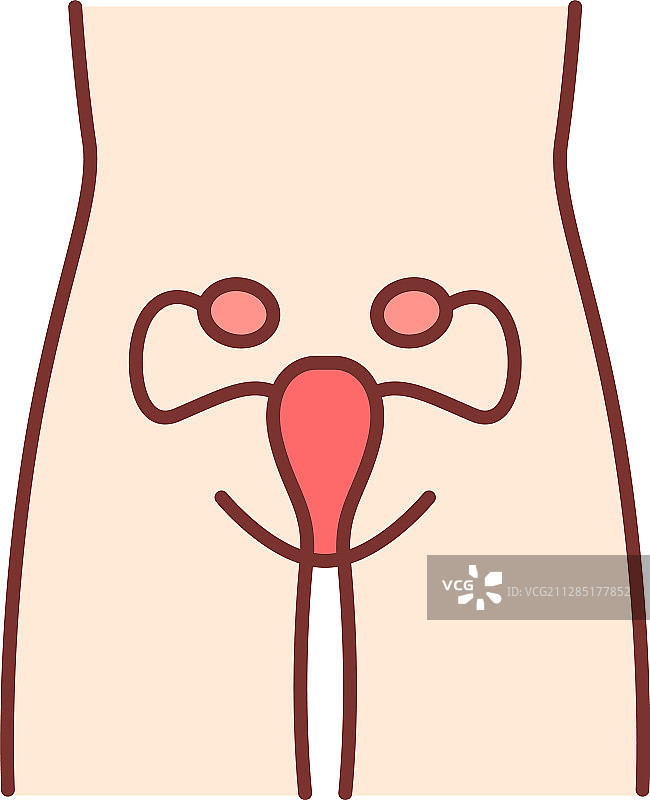 女性生殖系统彩色图标图片素材