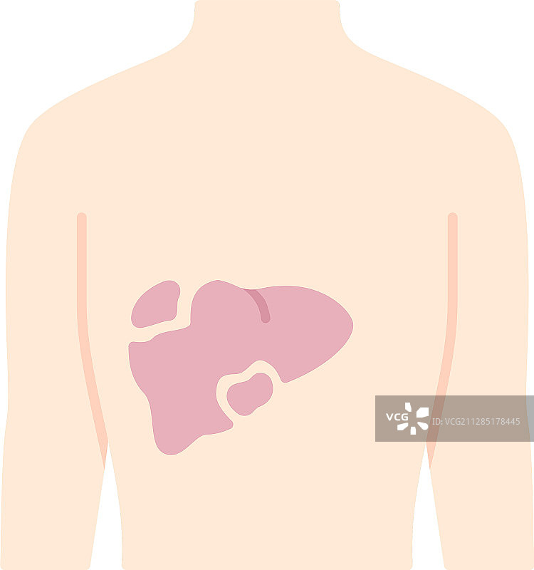 肝脏扁平设计长阴影彩色图标图片素材