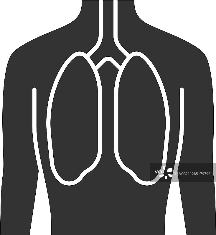 健康的肺部标志：良好的人体器官图片素材