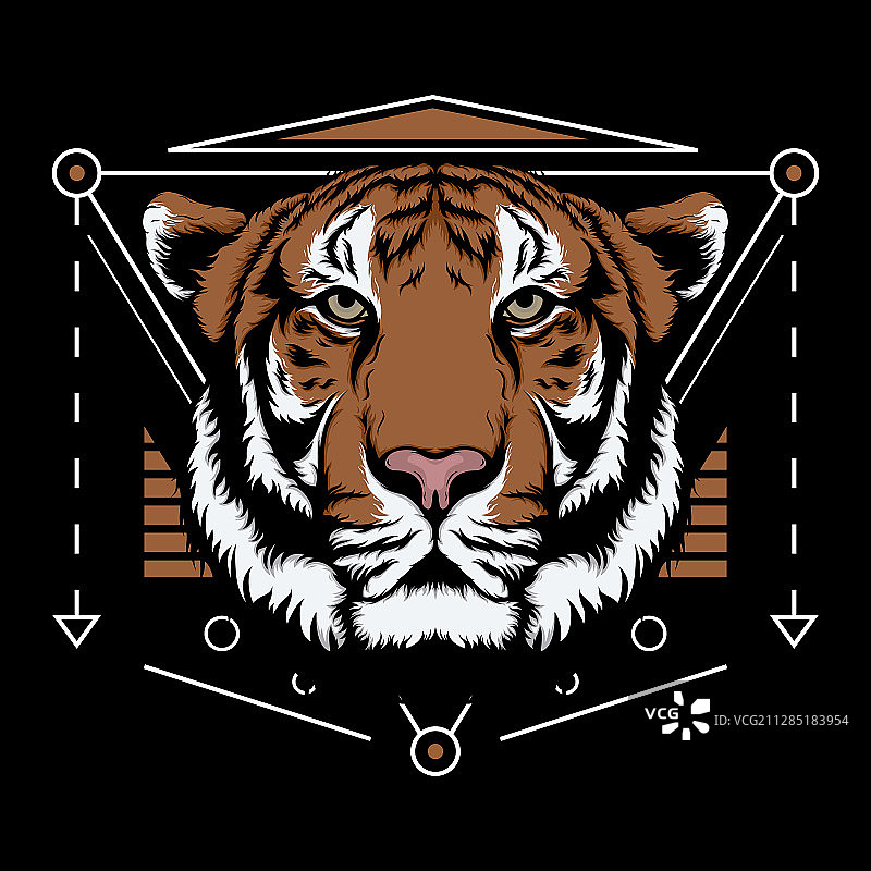 孟加拉虎与几何设计图片素材