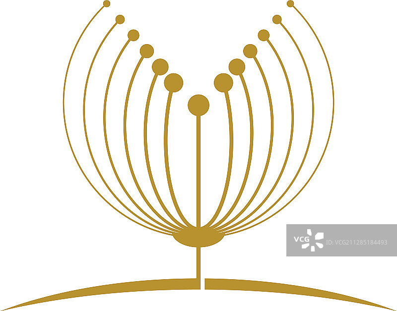 蒲公英图标设计图片素材