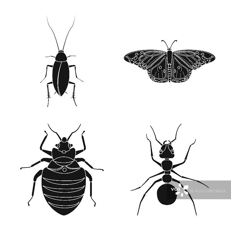 昆虫和苍蝇图标设计图片素材