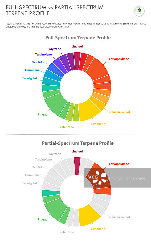 全光谱大麻植物竖版照片图片素材