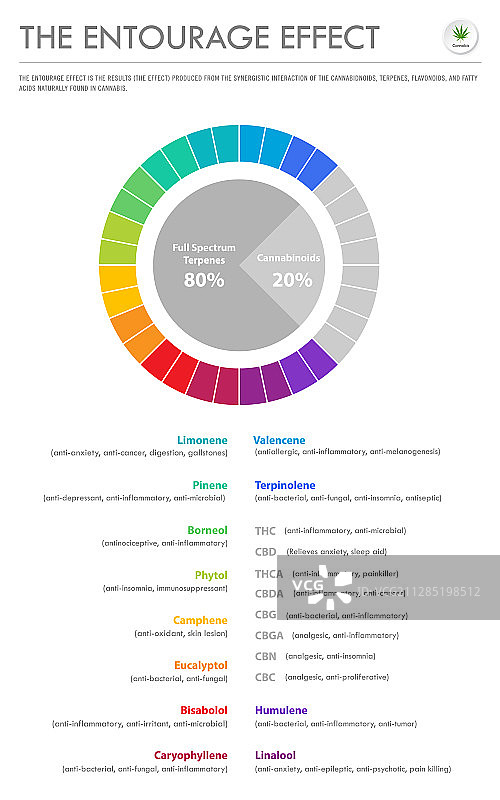 随行效应比例竖版商务图片素材