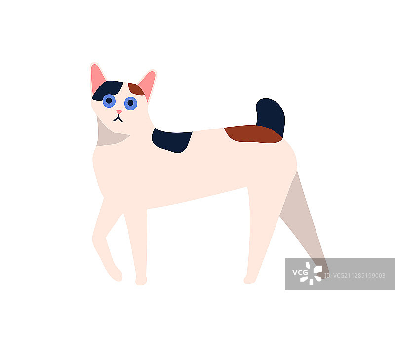 卡通日式短尾猫扁平风格图片素材