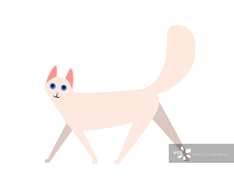 有趣的卡通蓬松安哥拉猫扁平插画图片素材