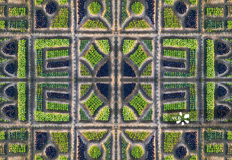 航拍上海农村菜园地自然风光图片素材