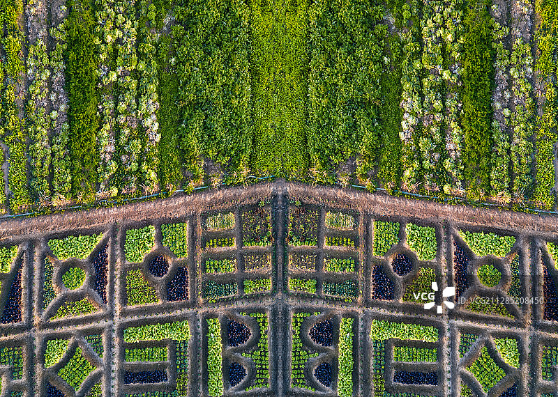 航拍上海农村菜园地自然风光图片素材