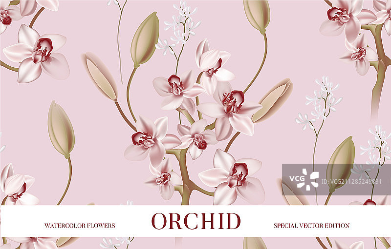 粉色兰花温柔背景逼真花卉图片素材