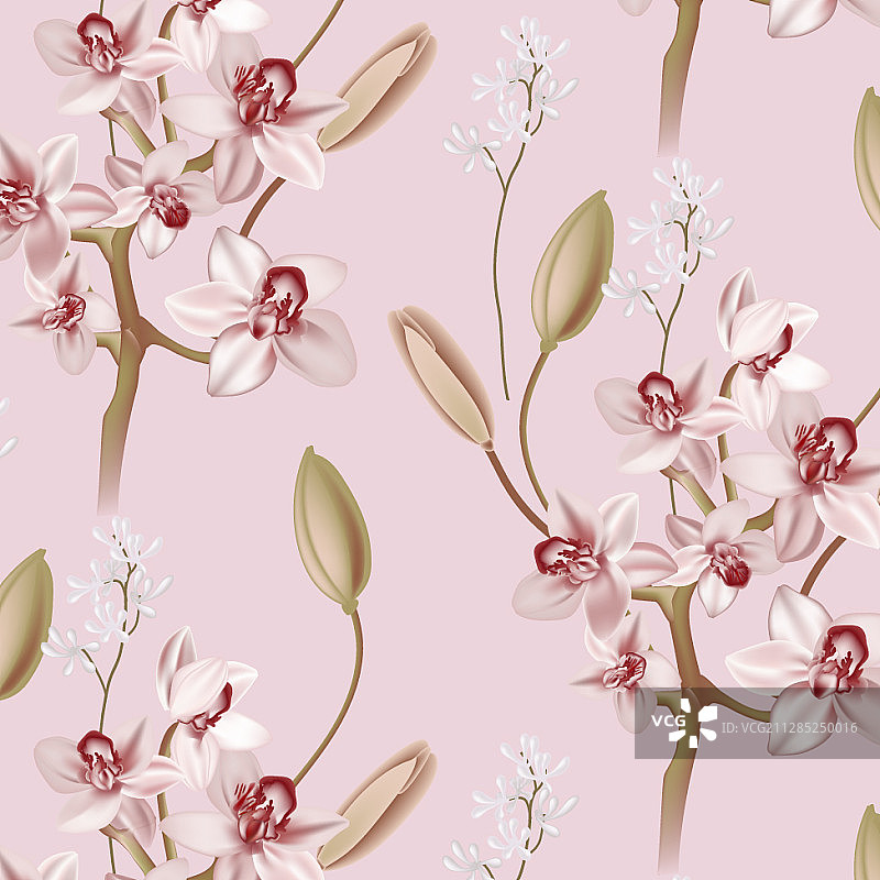 粉色兰花花卉柔和写实图案图片素材