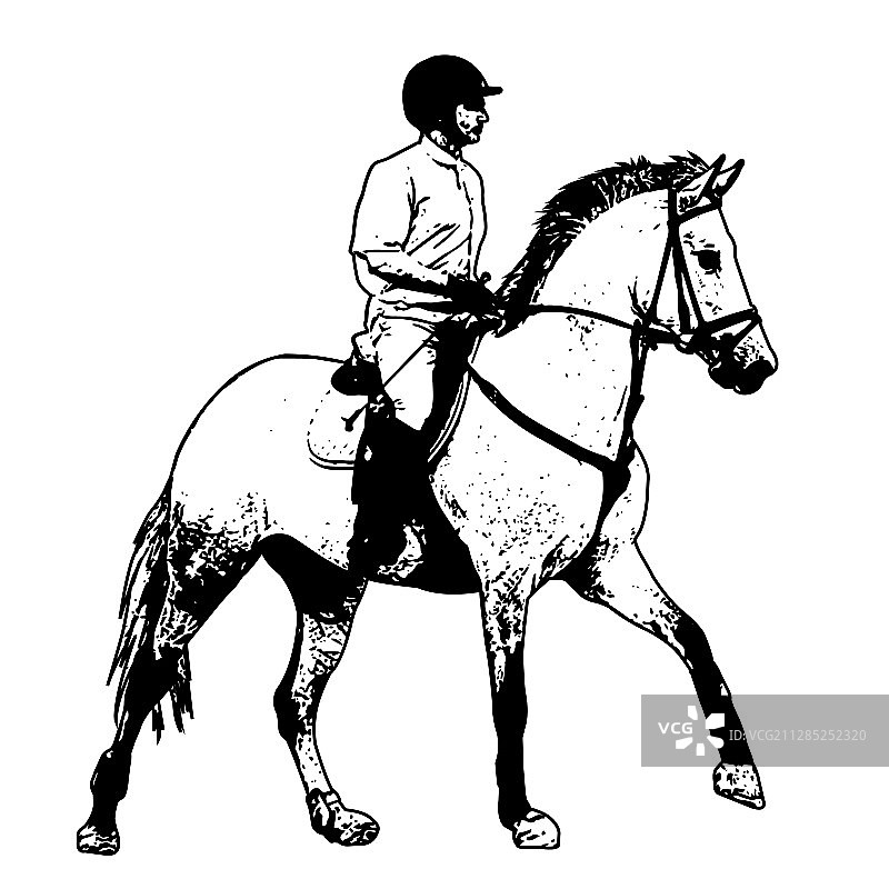 马术素描图片素材