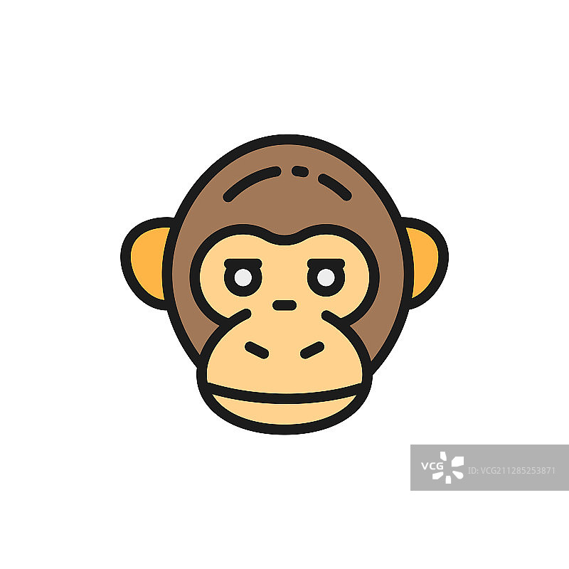 猴子、黑猩猩、大猩猩头部扁平色块图片素材