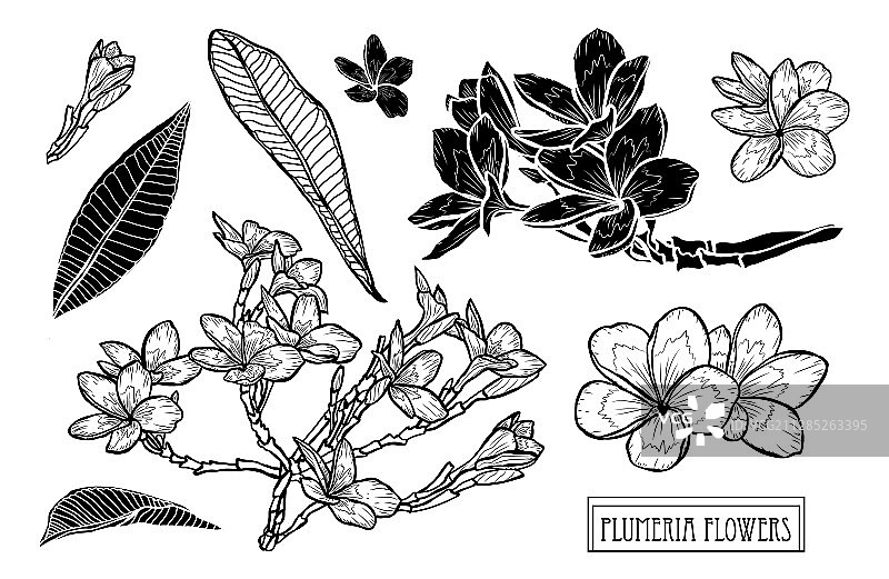 手绘花卉装饰图片素材