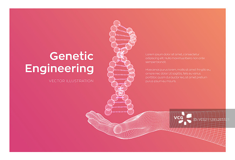 手部线框中的DNA序列图片素材