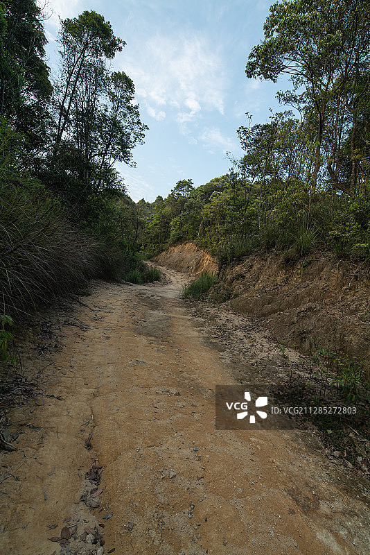 山地越野土路-汽车广告背景图图片素材