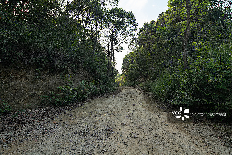 山地越野土路-汽车广告背景图图片素材