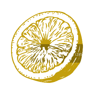 单色手绘风格切开的柠檬图片素材