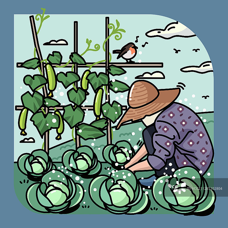奶奶的菜地图片素材