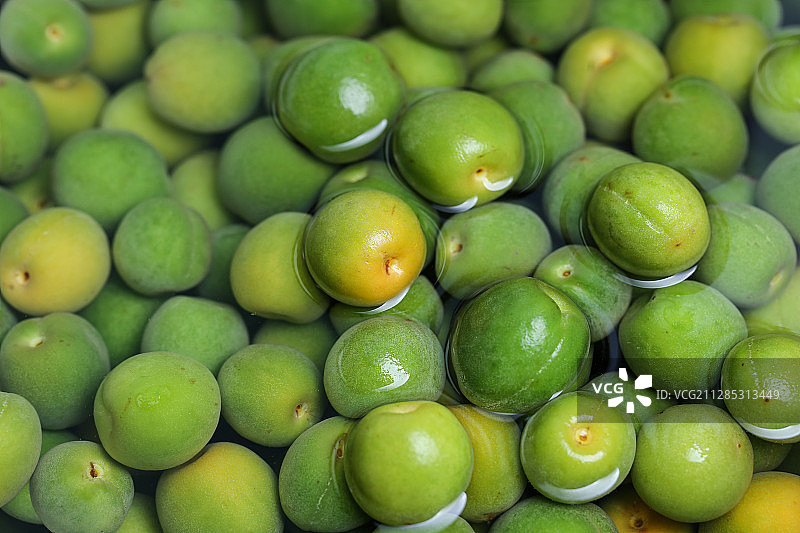 泡在水利的青梅图片素材