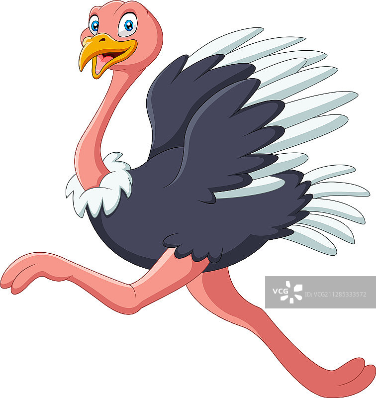 可爱的卡通鸵鸟奔跑图片素材