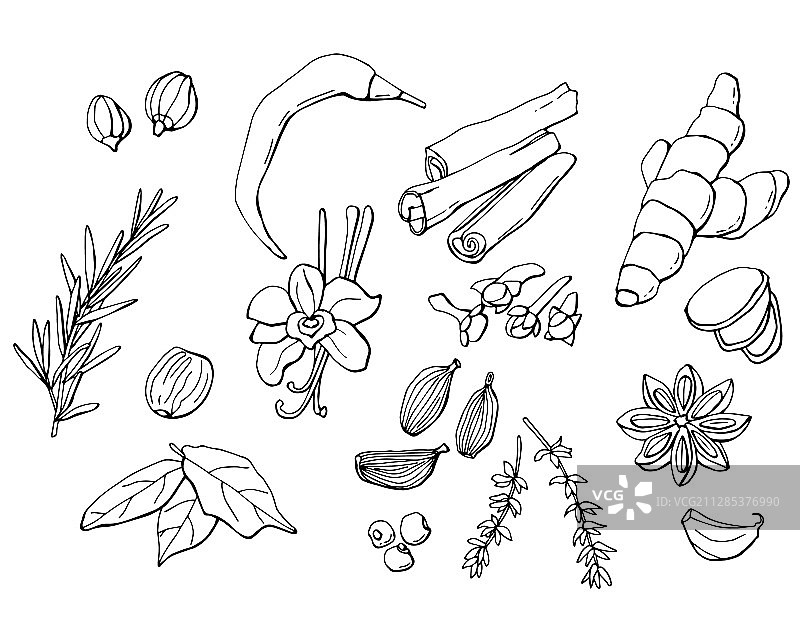 有机新鲜香料图片素材