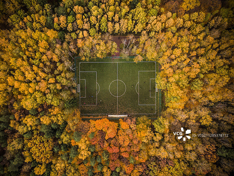 俄罗斯Zarechye秋季树木中的足球场图片素材