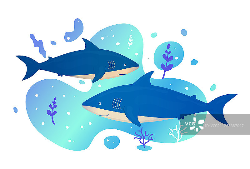 海洋中两条水下鲨鱼图片素材