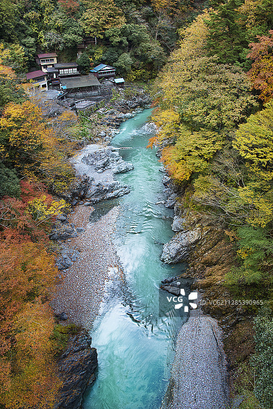 日本奥多摩鸠之巢峡谷俯视图图片素材