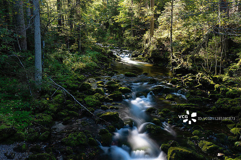 奥地利米特尔贝格森林河流景观图片素材