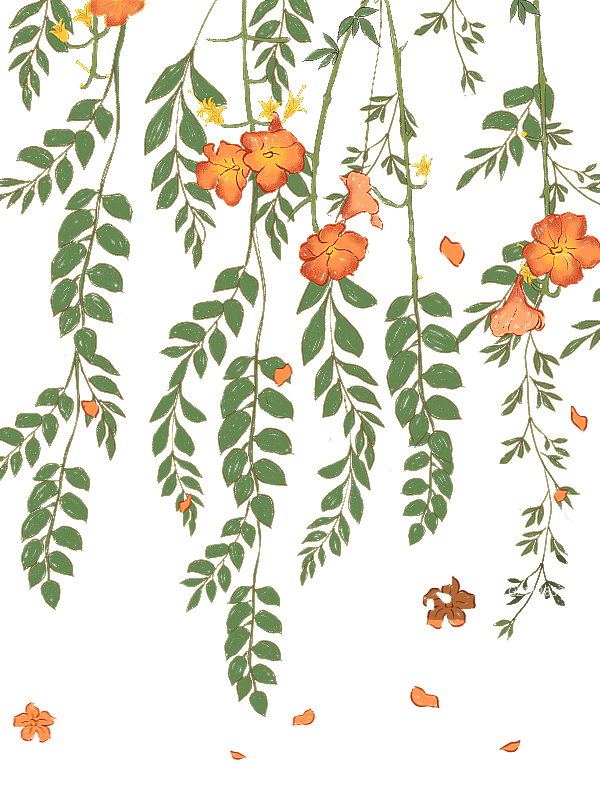 花卉图片素材