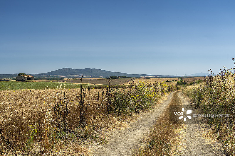 意大利塔奎尼亚到卡帕尔比奥的乡间小路，卡帕尔比奥，托斯卡纳图片素材