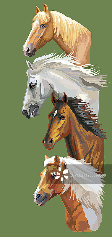 骏马明信片图片素材