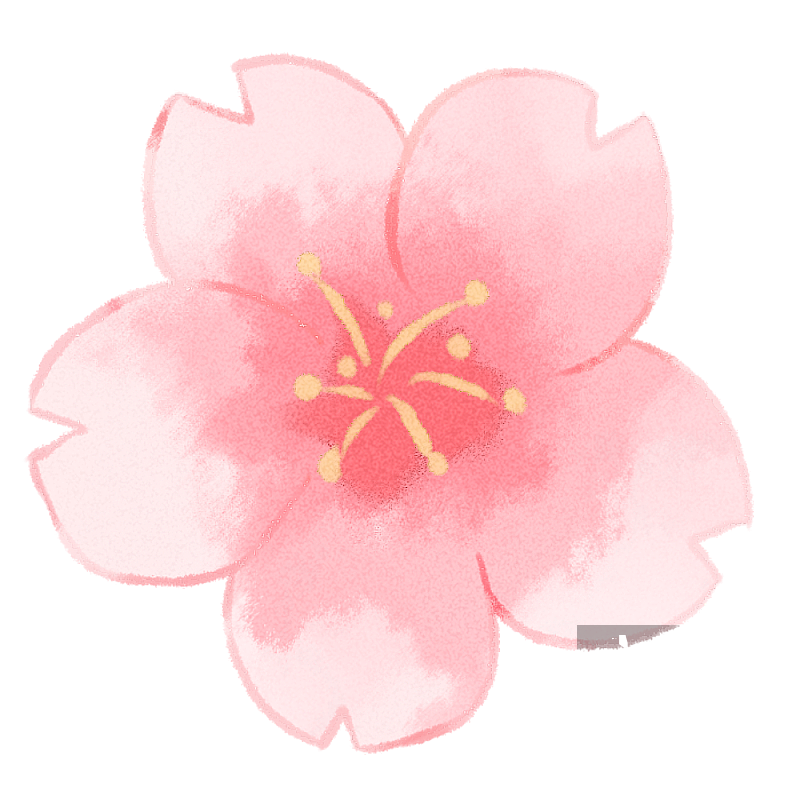 樱花图片素材
