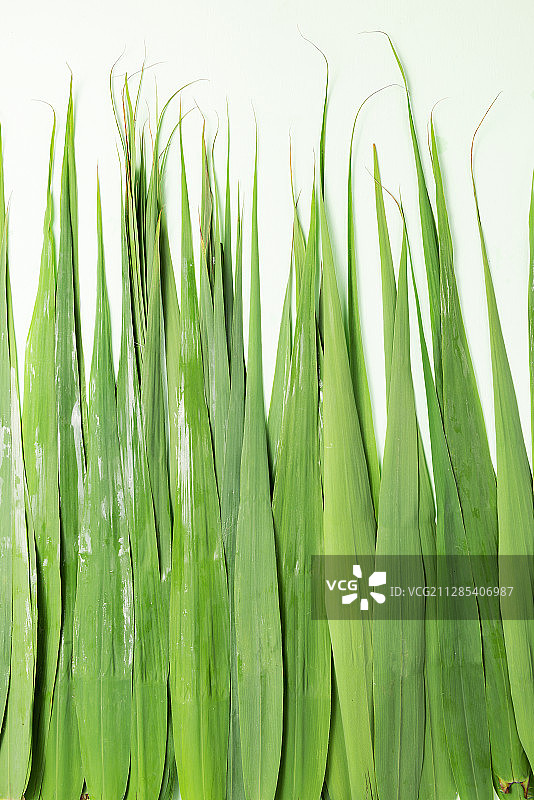 端午粽子平面静物图片素材