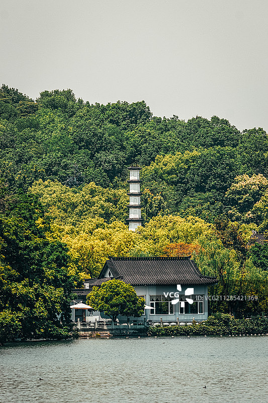 杭州西湖杨公堤图片素材