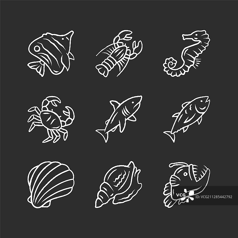 海洋动物粉笔图标：鲨鱼图片素材