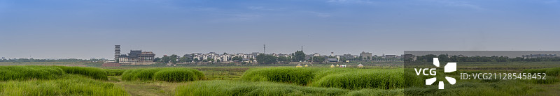 武汉府河湿地全景图图片素材