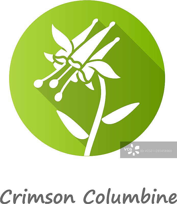 深红色耧斗菜扁平风格长阴影设计图片素材