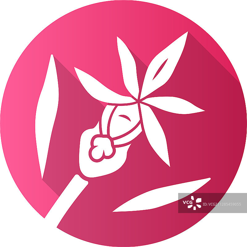 粉色卡吕普索兰长阴影字形设计图片素材