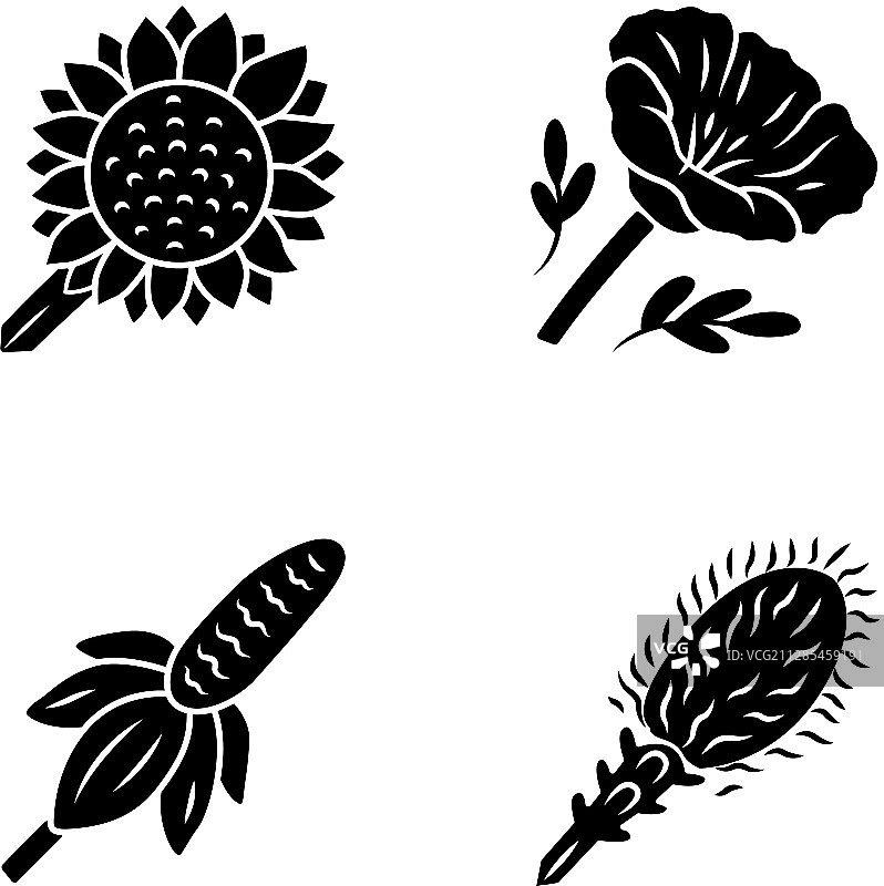 向日葵图案野花字形图标集图片素材