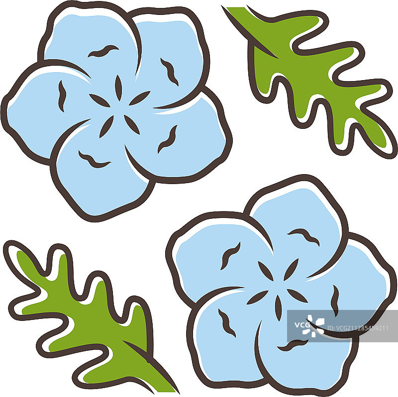 蓝色眼睛颜色图标亚麻盛开的花朵图片素材