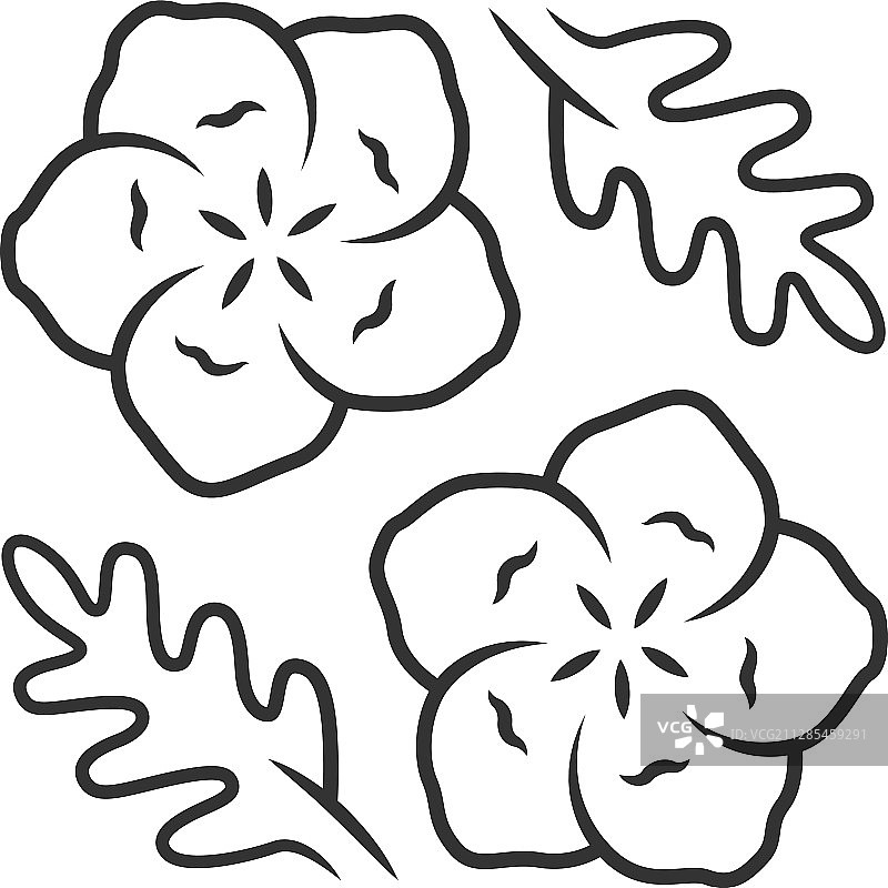 蓝色眼睛线性图标亚麻色盛开的花朵图片素材