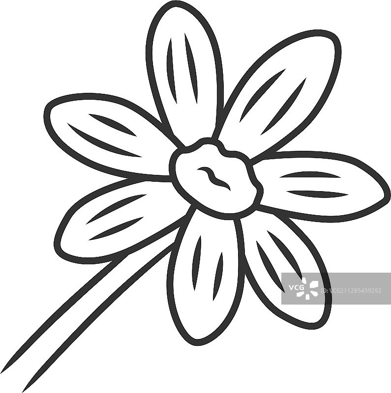 金鸡菊线性图标图片素材