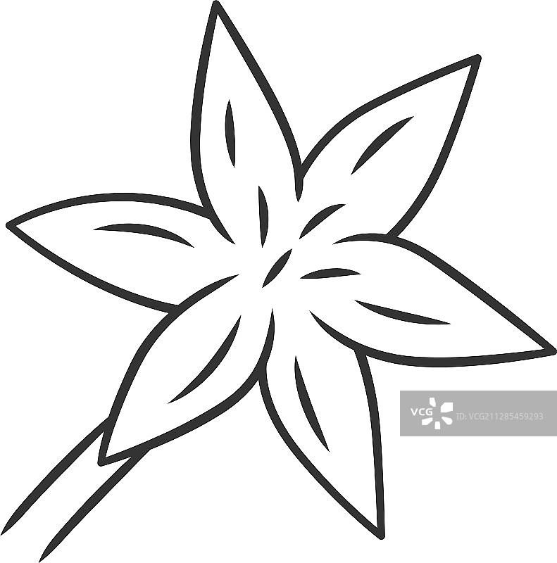 盛开星百合细线线性图标图片素材