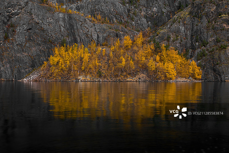 挪威的森林图片素材