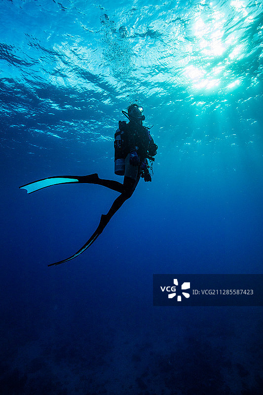 一个在水下站立的女性水肺潜水员图片素材
